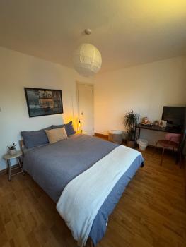 Lovely room in Bright split-level apartment close to Shoreditch, Londyn (zdjęcie 4)