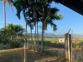 Kananafouairbnb, Nadi (zdjęcie 5)