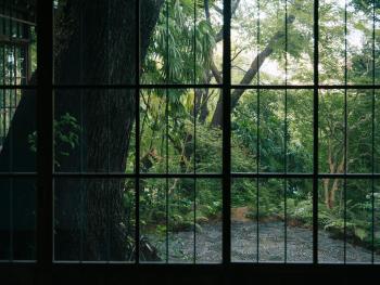 回青橙 daidai, Atami (foto 2)