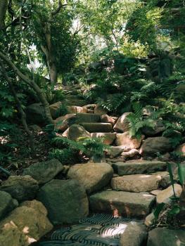 回青橙 daidai, Atami (foto 3)