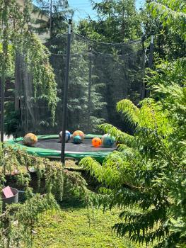 ДЗЕН Garden, Fontanka (zdjęcie 4)