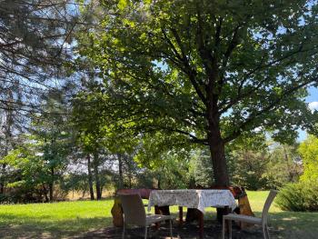Vila Timok, Zaječar (foto 5)