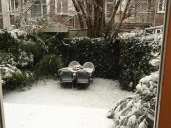Treasure, Amsterdam (Foto 4)