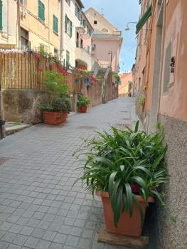 Casaluisa, Janov (fotografie 2)