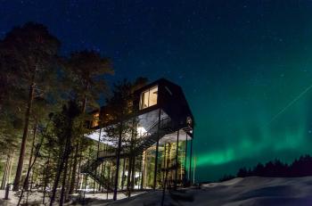 Treehotel, Harads (foto 3)