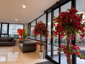 Casa Suit Otel & Restorant, Istanbul (foto 4)