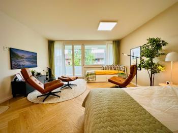 Modern City Studio with Air Condition & Balcony, Zürich (photo 4)