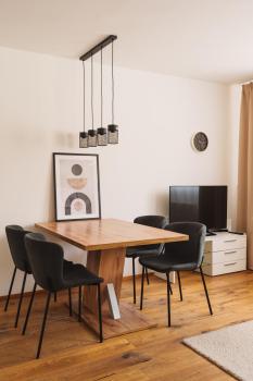 Urban jungle apartment next to Pràter & old town, Vídeň (fotografie 5)