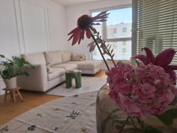 Ostoya, Rumia (Foto 4)