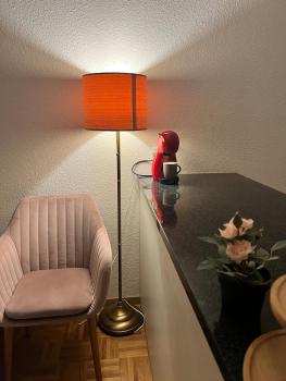Charming Courtyard Flat - Scandinavian & Central, Ginevra (foto 2)