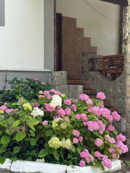 Сідус, Skhidnytsya (foto 5)