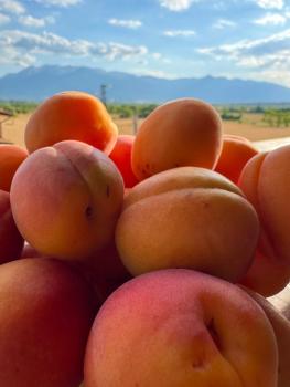 Stenata LightWill, Banya (photo 5)