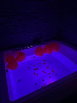 Jungle suite romantic - private Jacuzzi -, Bruxelles (foto 2)