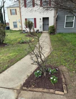 3 bedroom, 2 beds near capitol, Washington (foto 2)