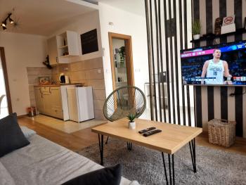 Apartment 12-09, Bajina Bašta (zdjęcie 4)