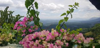 Above Beyond, Haputale (fotografie 3)