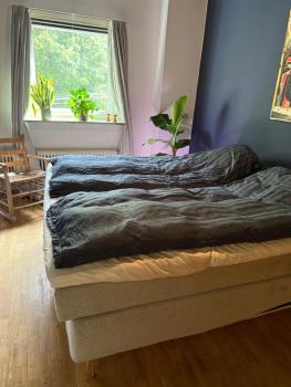 House in beautiful nature with field view, Ikast (photo 5)