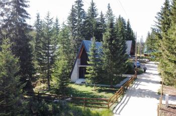 Basna FoRest, Žabljak (Foto 4)