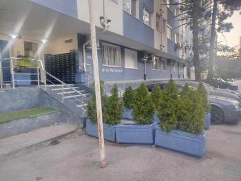 Sunny Hollow, Sofia (Foto 3)