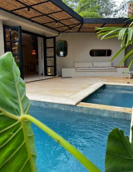 Macondo House Private Heated Pool, Medellín (photo 5)
