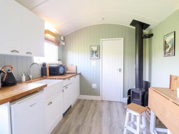Cuckoo at Wild Valley Huts, Oswestry (foto 4)
