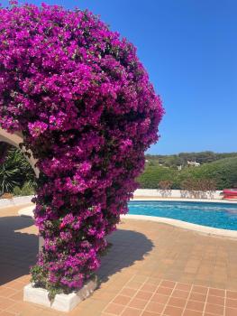 Villa with pool in Binibeca, Menorca, Binibeca (foto 2)