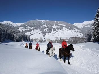 Apartment in Zillertal near Ski Slopes, Fügen (photo 4)