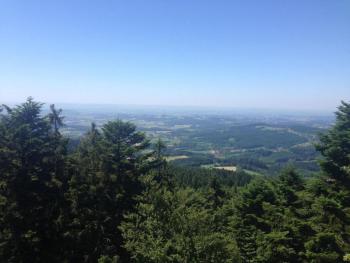 Ferienwohnung im Bayerischen Wald mit Balkon, Drachselsried (foto 3)