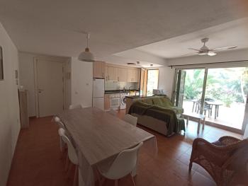 Linaria, Vera (foto 4)