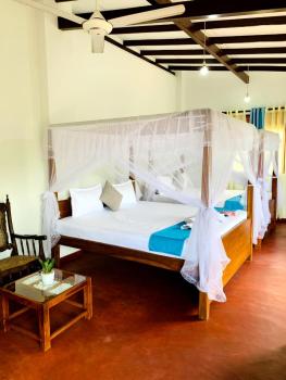 SILVER RAIL, Galle (fotografie 3)
