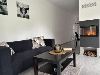 Living-Apartment-mit-Kamin-und-Terrasse, Drezno (zdjęcie 2)