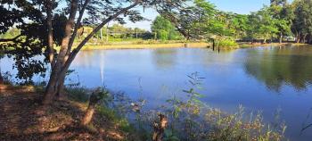 กองทองรีสอร์ท, Ban Chek (Foto 3)