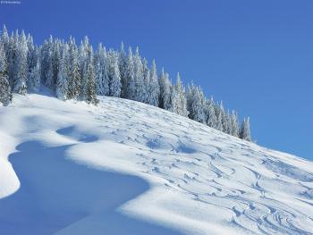 Chalet in Saalbach near Ski Lift, Saalbach Hinterglemm (photo 2)