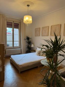 Private Room Geneva Eaux-Vives, 2 min from Lake, Ginebra (foto 2)