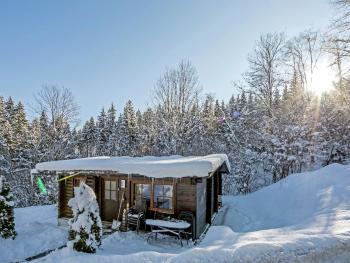 Chalet in Wörgl near Ski Bus Stop, Hopfgarten im Brixental (fotografie 3)