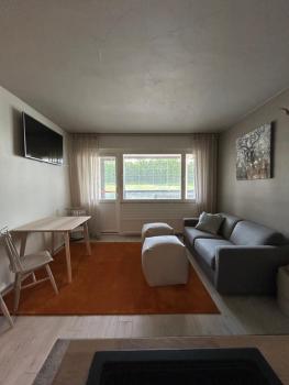 Sastamala, Ellivuori, viihtyisä saunallinen lomahuoneisto, Sastamala (photo 2)