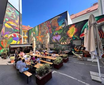 Drunken Monkey Hostel, Praga (zdjęcie 2)