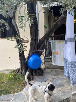 μπαλκόνι στο Αιγαίο, Zagora (fotografie 5)
