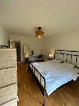 Plain & Practical Zurich Apartment, Curych (fotografie 5)
