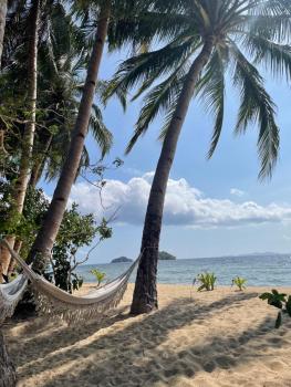 Awakening & EnLIGHTment, El Nido (foto 2)