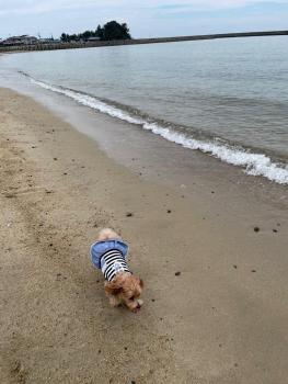BreezyBlue - Vacation STAY 64820v, Awaji (Foto 5)