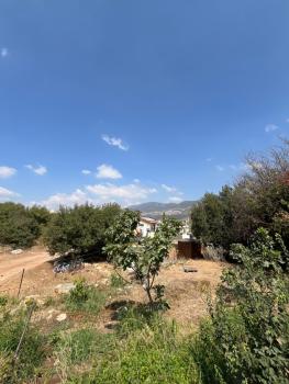 תפארת עזך, Kefar H̱ananya (Foto 5)