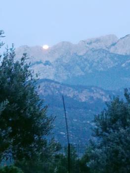 yenivadi, Antalya (foto 5)