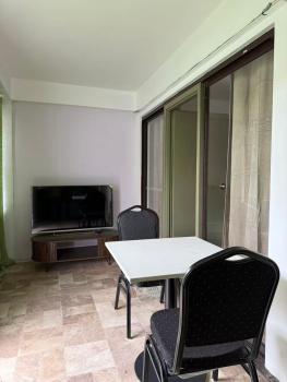 CC Beach villa in wailoaloa, Nadi (foto 5)