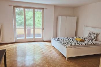 City Center Flats with Balcony Garden View Rigi Self Checkin, Curych (fotografie 5)