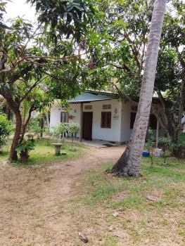 EECS Transit - Village stay, Katunayaka (fotografie 2)