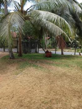EECS Transit - Village stay, Katunayaka (fotografie 5)