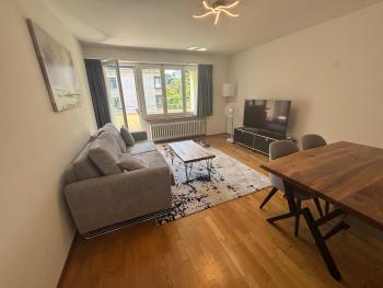 Nice 2BD flat city center near FIFA - Wille 3, Curych (fotografie 4)