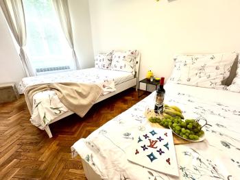 Ultimate Apartment - Private courtyard - Netflix, Прага (фото 3)