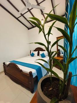 SENUKi, Galle (foto 2)